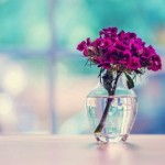 اینستلگرام | اینستاگرام + تلگرام | InsTelegram | Instagram + Telegram