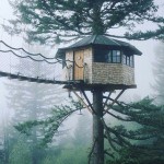 اینستلگرام | اینستاگرام + تلگرام | InsTelegram | Instagram + Telegram