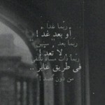 اینستلگرام | اینستاگرام + تلگرام | InsTelegram | Instagram + Telegram