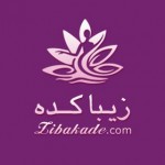 اینستلگرام | اینستاگرام + تلگرام | InsTelegram | Instagram + Telegram