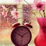 اینستلگرام | اینستاگرام + تلگرام | InsTelegram | Instagram + Telegram