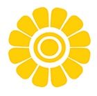 اینستلگرام | اینستاگرام + تلگرام | InsTelegram | Instagram + Telegram