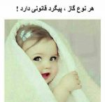 اینستلگرام | اینستاگرام + تلگرام | InsTelegram | Instagram + Telegram