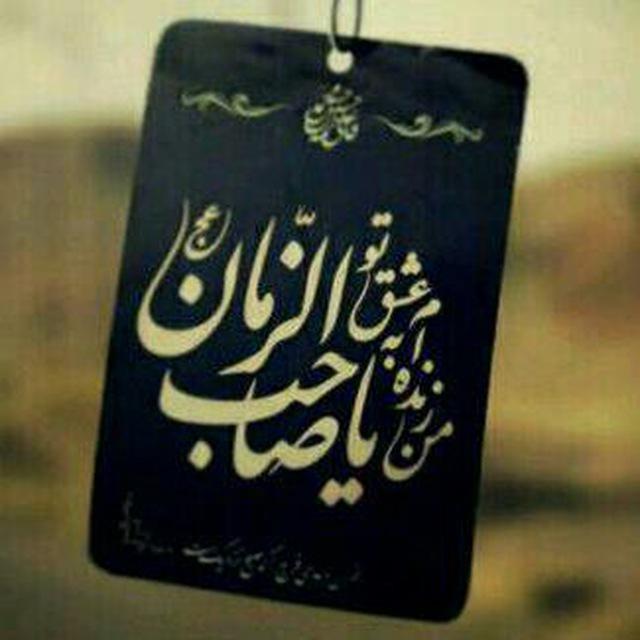 اینستلگرام | اینستاگرام + تلگرام | InsTelegram | Instagram + Telegram