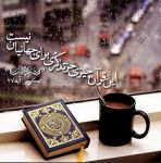 اینستلگرام | اینستاگرام + تلگرام | InsTelegram | Instagram + Telegram