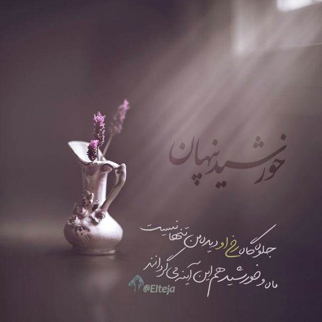 اینستلگرام | اینستاگرام + تلگرام | InsTelegram | Instagram + Telegram