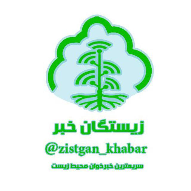 اینستلگرام | اینستاگرام + تلگرام | InsTelegram | Instagram + Telegram