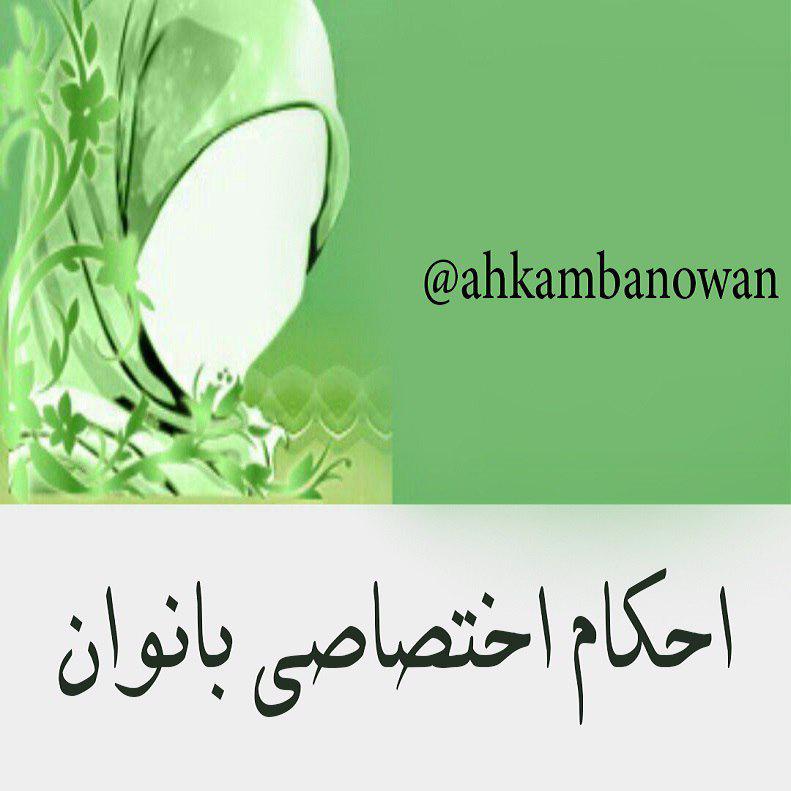 اینستلگرام | اینستاگرام + تلگرام | InsTelegram | Instagram + Telegram