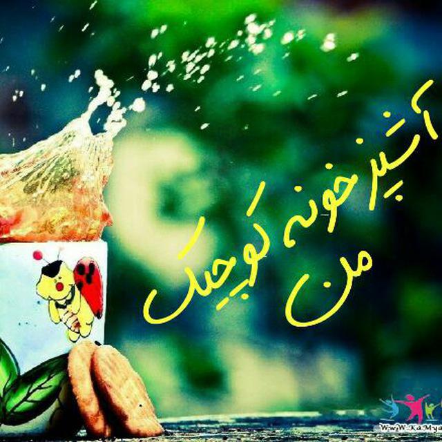 اینستلگرام | اینستاگرام + تلگرام | InsTelegram | Instagram + Telegram