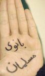 اینستلگرام | اینستاگرام + تلگرام | InsTelegram | Instagram + Telegram