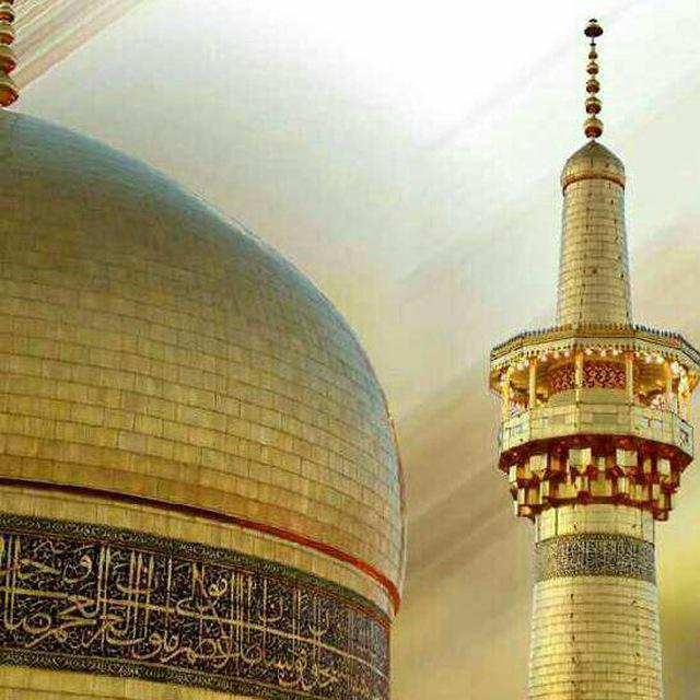 اینستلگرام | اینستاگرام + تلگرام | InsTelegram | Instagram + Telegram