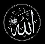 اینستلگرام | اینستاگرام + تلگرام | InsTelegram | Instagram + Telegram