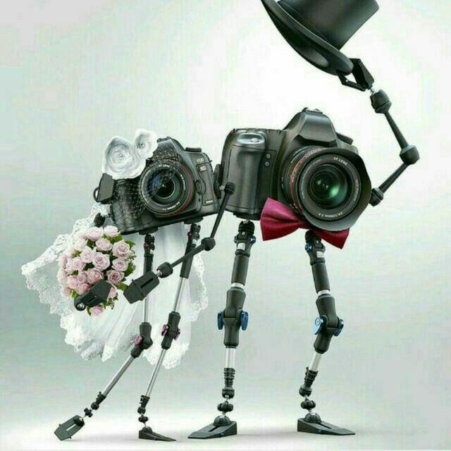 اینستلگرام | اینستاگرام + تلگرام | InsTelegram | Instagram + Telegram