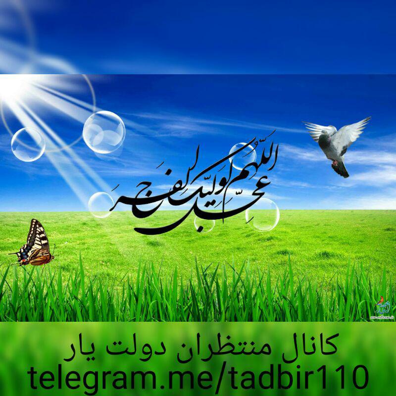 اینستلگرام | اینستاگرام + تلگرام | InsTelegram | Instagram + Telegram