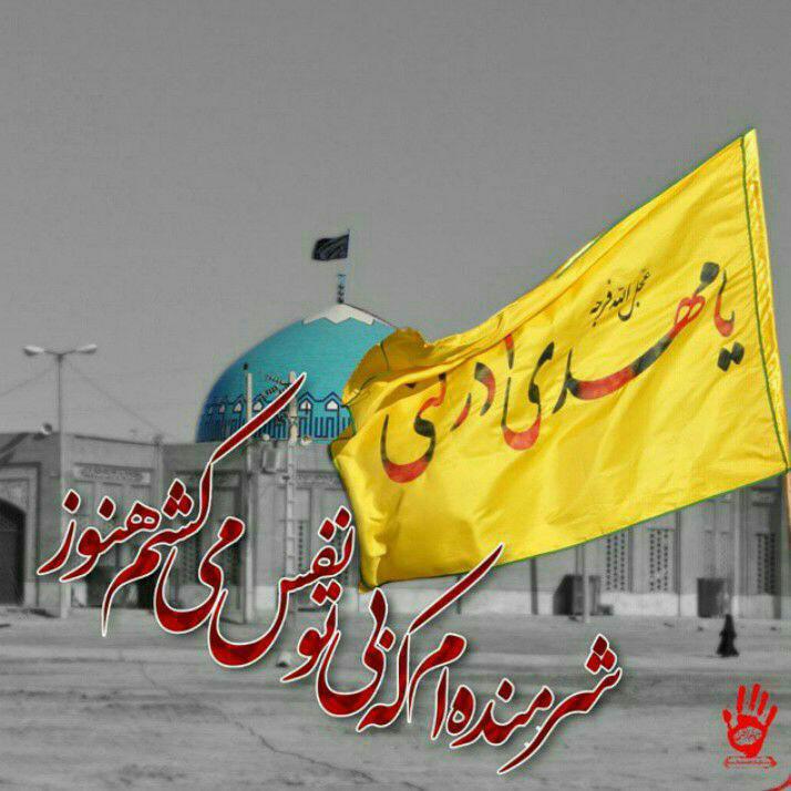 اینستلگرام | اینستاگرام + تلگرام | InsTelegram | Instagram + Telegram