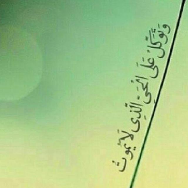 اینستلگرام | اینستاگرام + تلگرام | InsTelegram | Instagram + Telegram